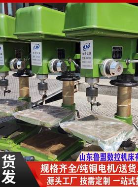 工业台钻 z4116台式钻床 批量供应Z512 Z4120 Z4025台钻 纯铜电机