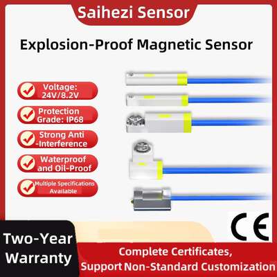 CustomNon-standard Explosion-proof Magnetic Proximity Switch