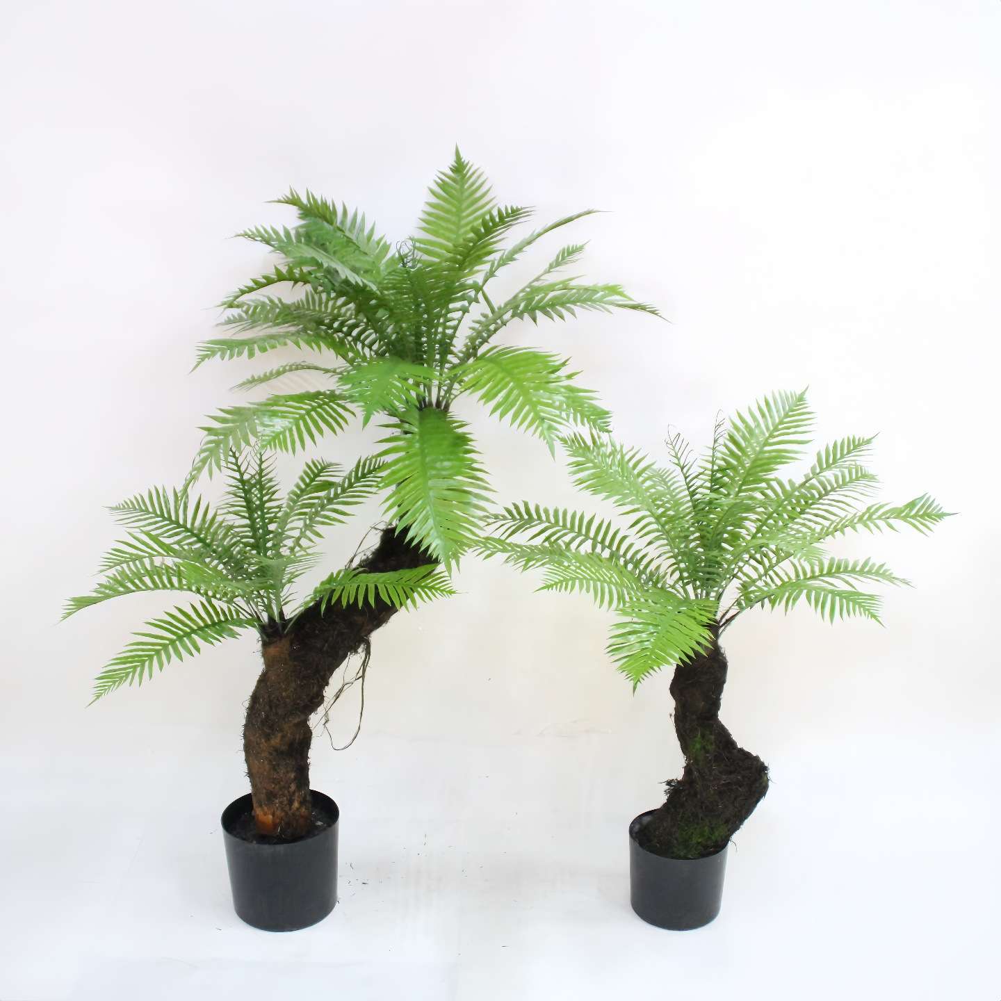 软装造景设计仿真假树猴头蕨室内植物仿生绿植金丝撅庭院装饰盆栽