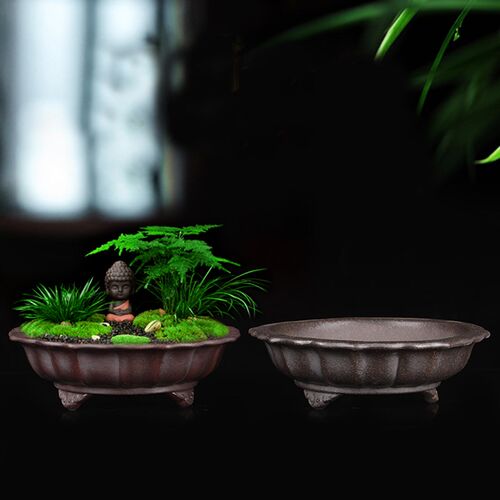 宜兴紫砂兰花盆浅园盆小叶紫檀精品多肉菖蒲桌面盆景创意陶瓷家用