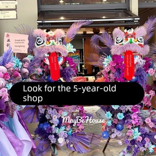 狮子头舞狮头套南狮幼儿园表演道具小狮头塑料羊毛狮开业花篮醒狮