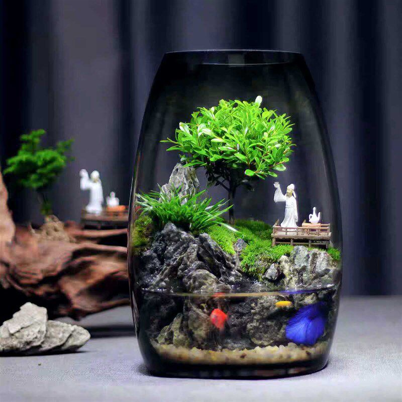 养鱼缸生态微景观苔藓办公室桌面微景观绿植盆景生态瓶缸绿植造景