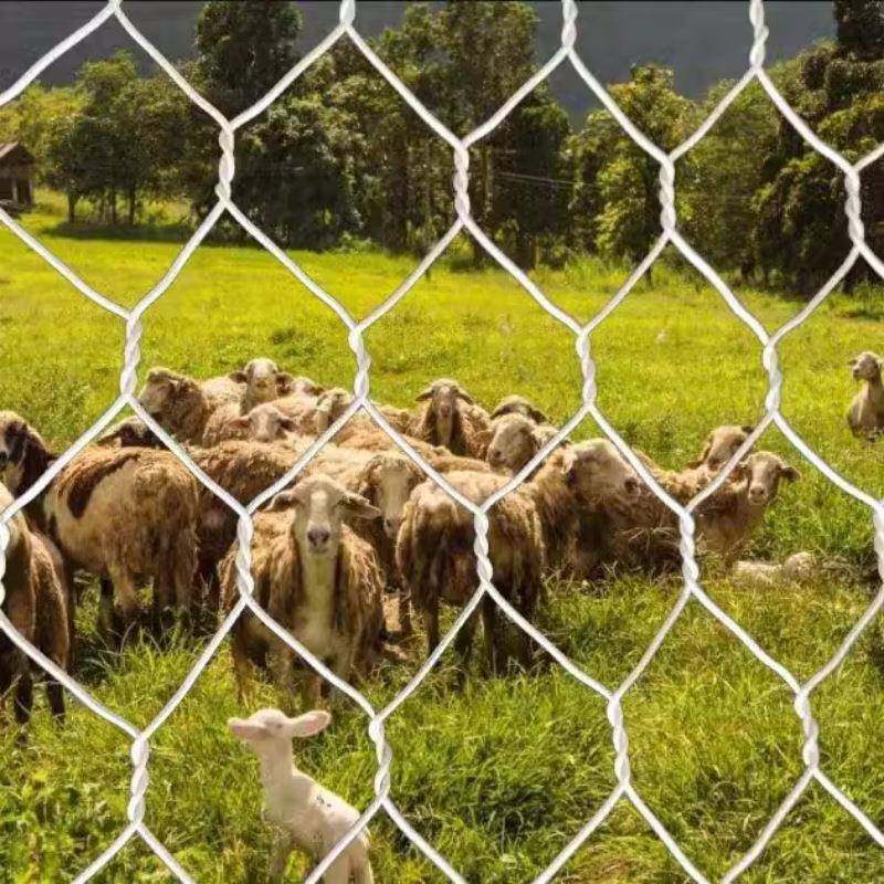 厂家现货镀锌铁丝网大拧花六角网圈鸡网畜牧养殖网圈羊网草原网,鲜花速递/花卉仿真/绿植园艺,割草机/草坪机,淘宝优惠券,粉丝福利购,淘宝优惠卷