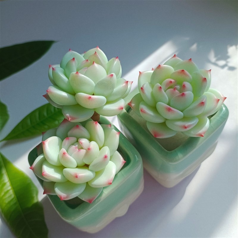 粘土多肉静夜小盆栽植物盆景室内装饰办公室桌面仿真绿植小摆件