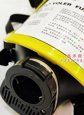 威尔呼吸器面罩 VOLER正压式空气呼吸器配件全面罩 电动送风面具