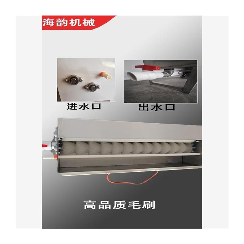 全自动洗蛋机小型商用毛刷鸡蛋鸭蛋清洗机新型蛋品清洗机器洗蛋器