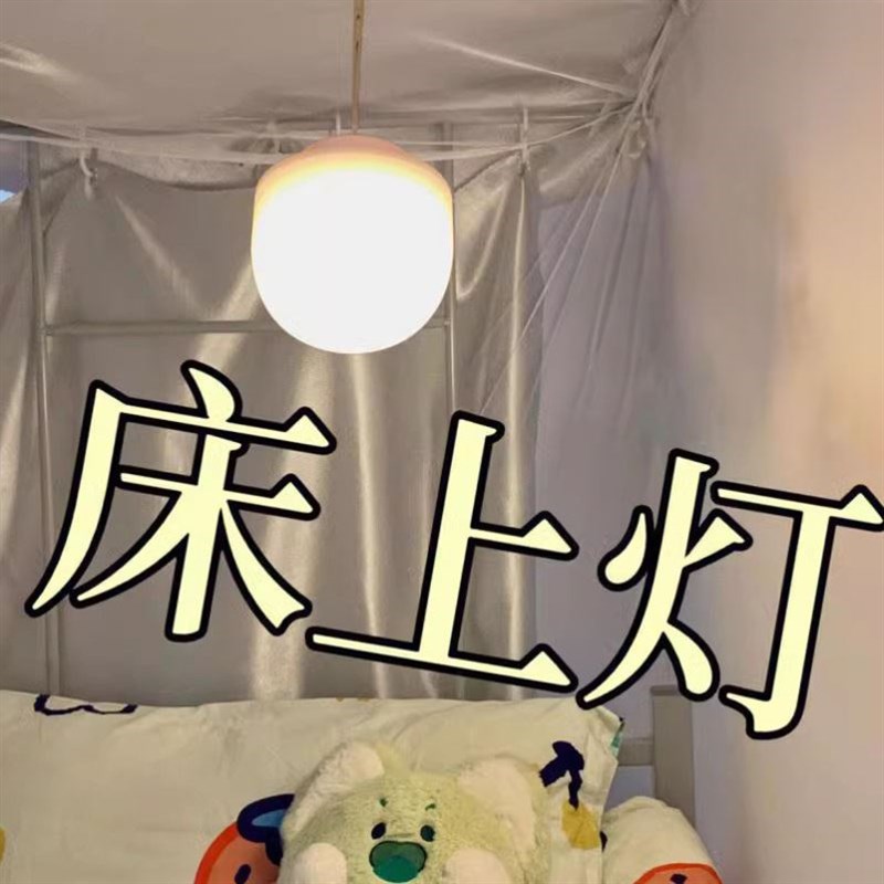 宿舍上铺灯悬挂小夜灯大学寝室床上充电蚊帐内小吊灯护眼学习灯