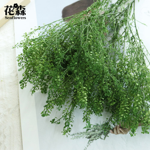 永生花翠扇叶绿玲草保鲜干花diy手工装饰材料包配叶辅材花盒点缀