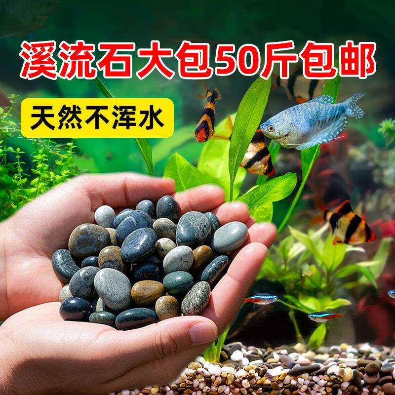 原生溪流石鱼缸底砂造景专用天然砂石水族箱底部石头水草装饰沙子