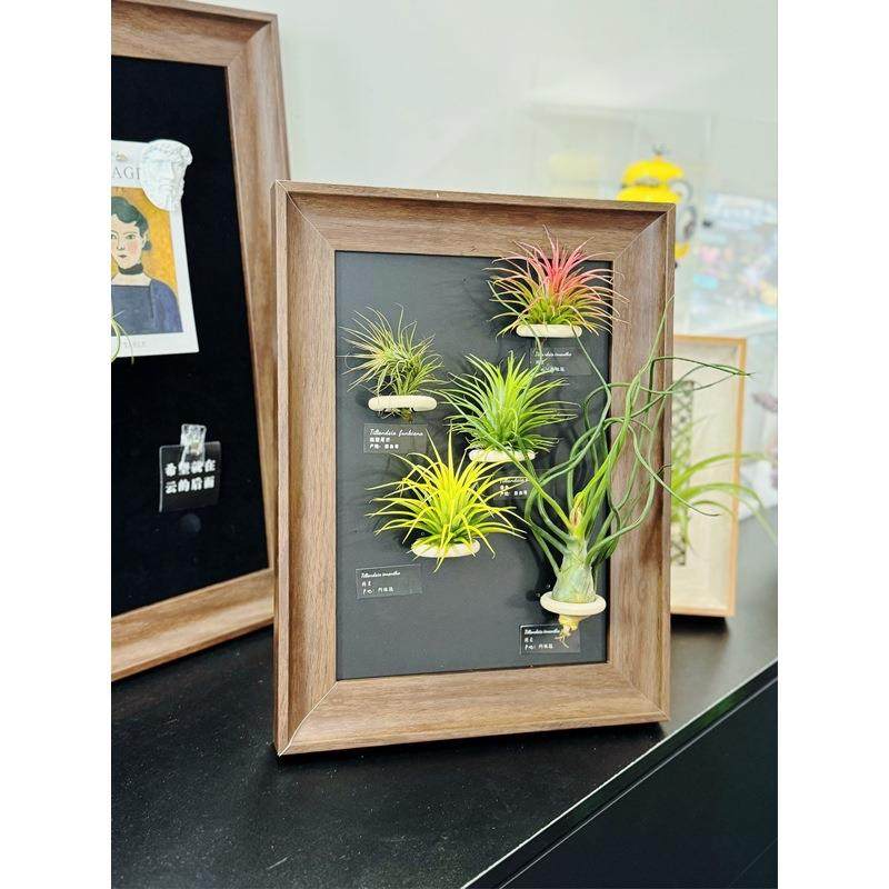 空气凤梨电表箱相框法式装饰画客厅书房软装设计师摆件装饰画