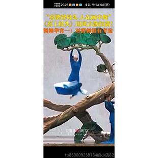 正品2025春晚款同喜上头舞蹈演服舞台服装古典服饰喜枝出鹊上枝头