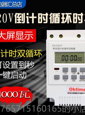 高档SX10T2微电阻控开关 单双倒计时控制器220时V秒控循环定 时开