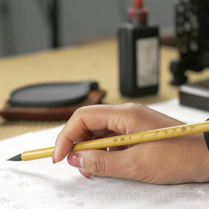 高档中宣堂毛套装初学者国画法兼笔楷毫毛笔书入门学生专用书行书