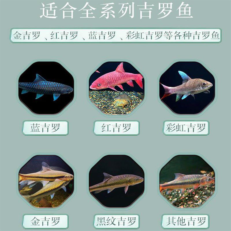 鱼珍玑吉罗鱼饲料红蓝吉罗高蛋白食发色增艳大小颗粒下沉型专用粮图片