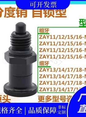 自锁型分度销ZAY11/12/13/14/15/16/17/18M10/12/16平替怡合达
