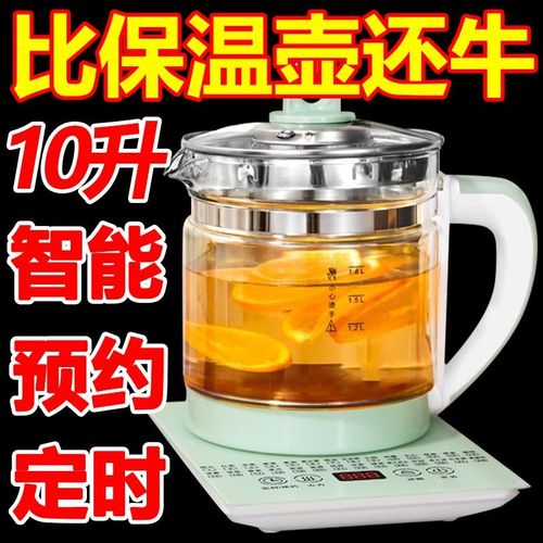 德国多功能料理锅养生壶电壶烧水花茶壶办公室煎药壶玻璃煮花茶器