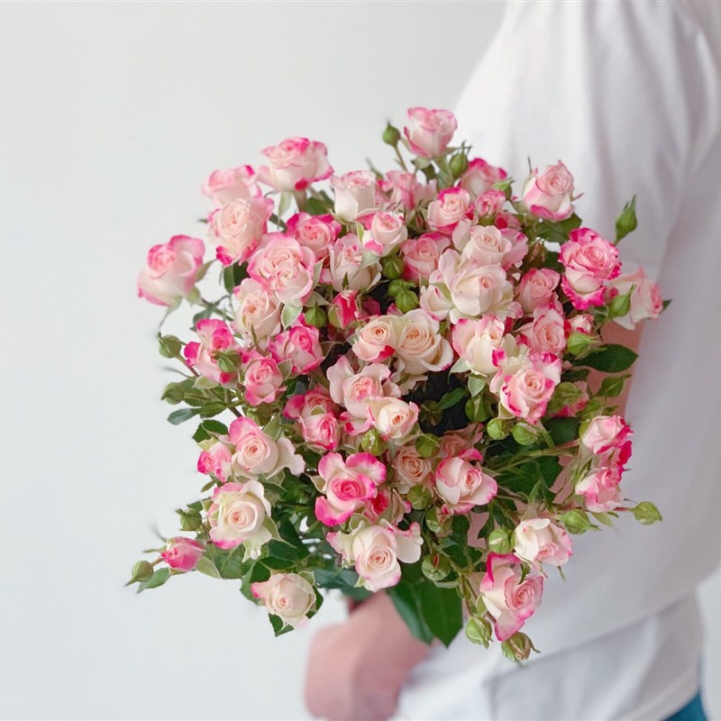 多头白色粉色折射玫瑰鲜花花束家用水养云南直发教师节鲜切礼品