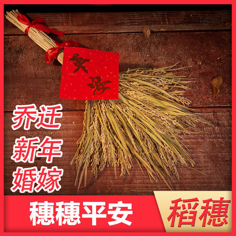 大麦摆件麦穗干花客厅装饰金麦穗麦子搬家花束小麦高粱穗五谷丰登