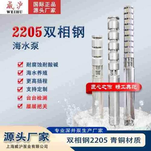2205双相钢海水泵大流量扬程海水提升泵耐腐蚀耐酸海水养殖泵