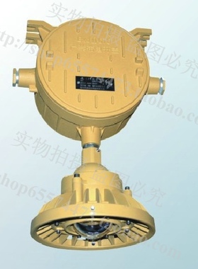 防爆应急灯 LED光源应急灯 BAJ一体式应急灯 高功率应急灯