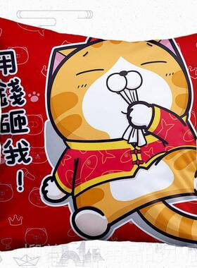 正品白爛貓 LanC an at 烂猫 L抱枕方枕靠垫客厅卧白室 腰靠垫 臭