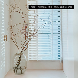 龙柳花瓶玻璃透明龙柳枝高款插花长枝干支龙柳鲜枝干枝插树枝花器