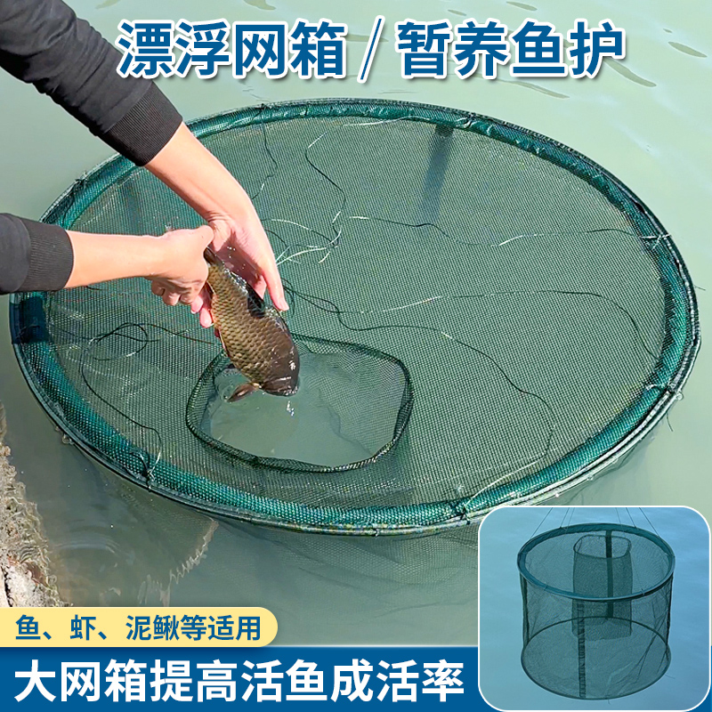 养鱼网箱养鱼箱育苗养殖网箱存鱼漂浮暂养鱼护防逃网笼折叠装鱼笼