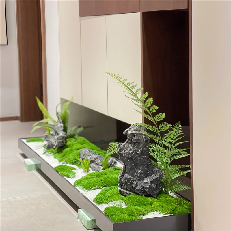 苔藓青苔造景会议室桌面摆件花槽隔断软装绿植过道布置枯山水景观