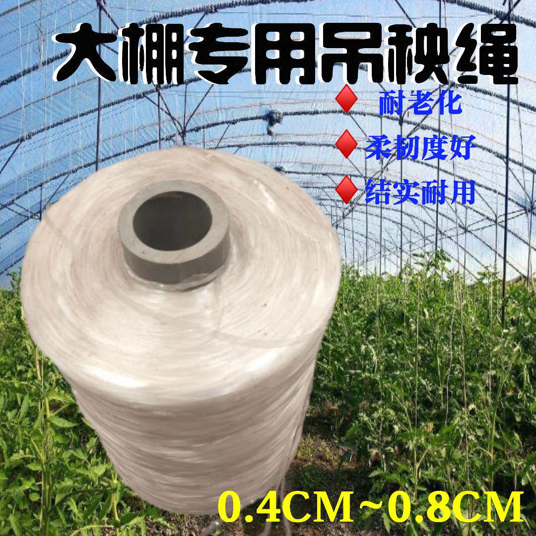 大棚蔬菜吊蔓绳吊秧绳绑蔓绑枝绑扎塑料绳黄瓜番茄辣椒抗老化吊绳