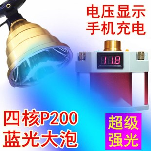 12V蓝光P200感应灯头钓鱼灯P100夜钓头灯24V电瓶外接分体式 野台钓