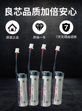 原装EVE系统3.6电池ER14505数控机床CNC加工中心伺服驱动器放大镜