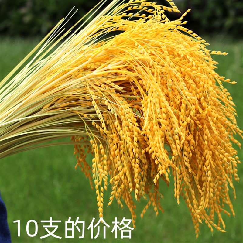 仿真稻穗舞蹈道具仿真花丰收黄稻谷水稻麦穗摆件休闲农场商场装饰