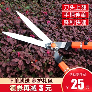 花剪园艺剪刀修枝剪修剪树枝园林工具枝花草枝剪草坪大剪子绿化剪