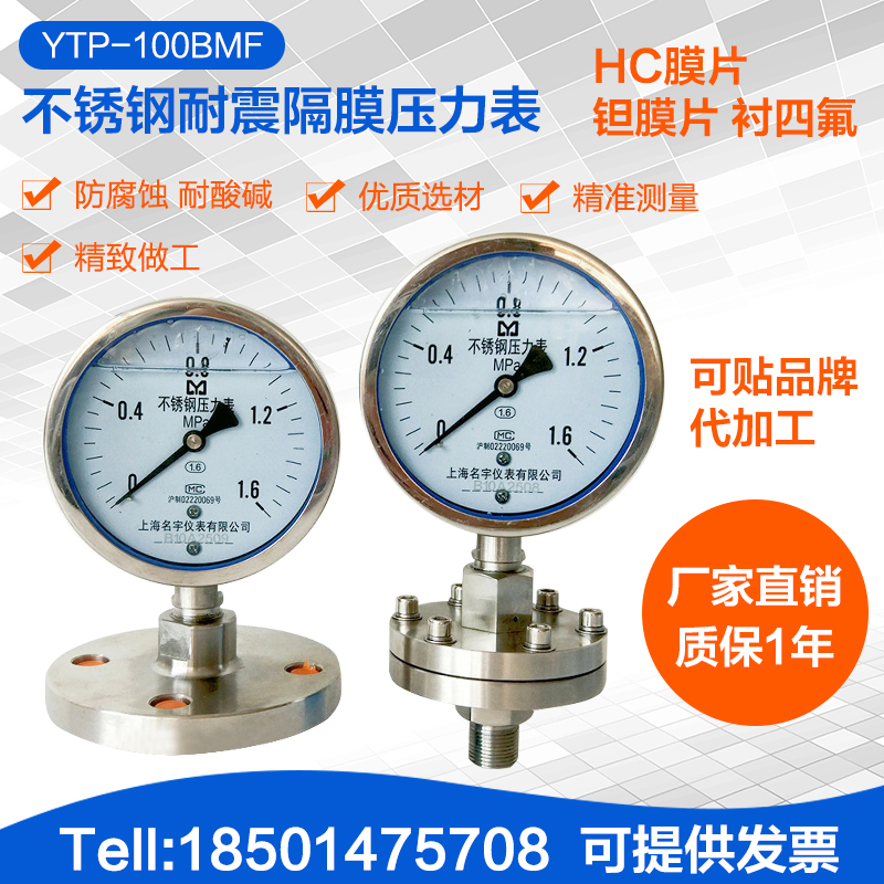 YTP-100ML MF不锈钢耐震隔膜压力表 法兰压力表 DN25 DN50 1.6mpa