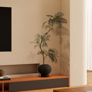 美陈摆设 好物室内客厅原木风格 森空间电视柜旁装 饰摆件蓝花楹软装