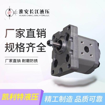 淮安长江CBW-F304/306/310/314/316/320/325油泵齿轮泵