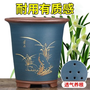 紫砂兰花花盆兰草君子兰大花惠兰吊兰蝴蝶兰花盆大号大花盆特大号