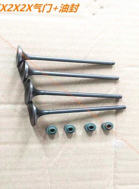 越野摩托车鑫源X2X2X银钢250六天AX1四气门发动机专用气门/油封件