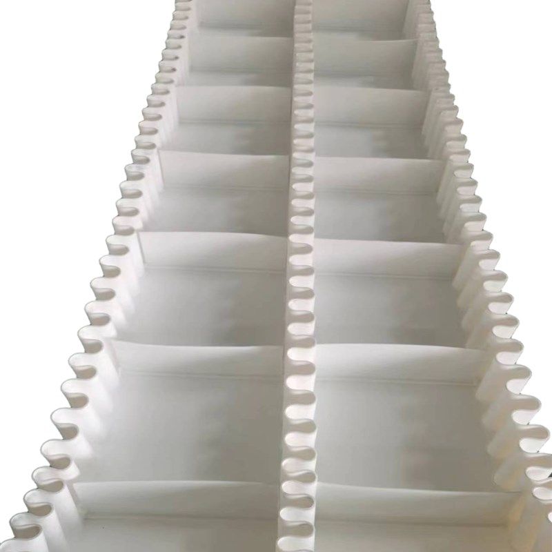 pvc输送带裙边挡板导条食品输送带防滑挡板传送带输送带生产厂家,标准件/零部件/工业耗材,输送带/传送带,淘宝优惠券,粉丝福利购,淘宝优惠卷