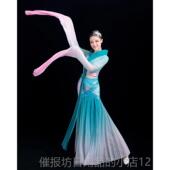 儿童水袖 雅汉 式 正品 舞蹈服舞 古典舞服 女童中服服装 彩表演