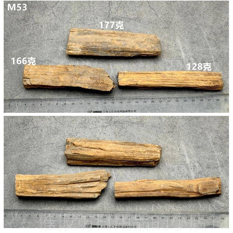 正品石黑龙江木化石冰河时天树化玉硅化木原石摆件观赏标本礼然期