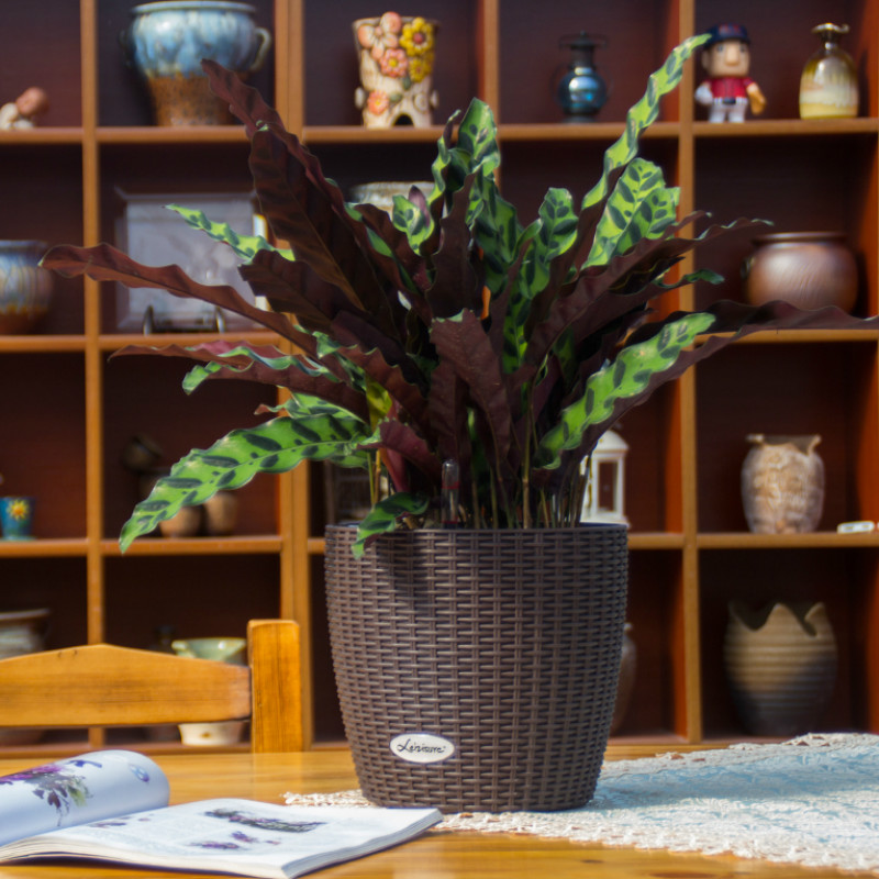 圆形树脂加厚花盆智能懒人自动吸水储水免浇水仿藤编创意客厅落地