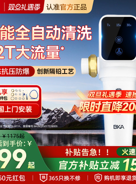 BKA前置过滤器家用反冲洗全屋智能防爆12T大通量自来水净水器AC28