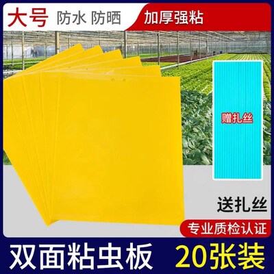 双面粘虫板大棚果树瓜菜园黄板沾小黑飞防虫贴纸蓟马蓝板诱虫板