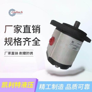 370 3GM 620 530 高泰克齿轮泵3GM 770