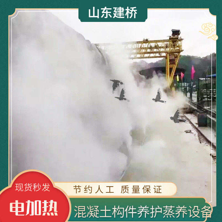冬季桥梁养护器 预制PRC构件蒸养蒸汽机 电加热蒸汽发生器