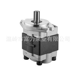 021A 齿轮泵 000W 农机泵 液压泵 叉车 FCBN02