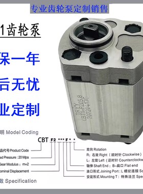 TRYY齿轮泵CBT1-F204.2/F204.8/F205.8/F206.8/F207.8/F202.1油泵