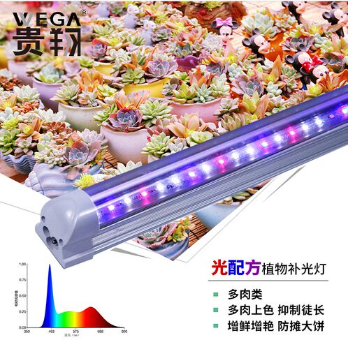 wega贵翔食虫植物生长灯仿太阳全光谱LED室内 家用多肉补光灯上色