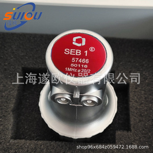 原装GE贝克休斯探头 SEB1探头 SEB 1双晶直探头 SEB1-EN双晶探头